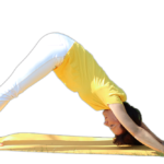 Asana Herabschauender Hund – Adho Mukha Shvanasanaerabschauender Hund – Adho Mukha Shvanasana